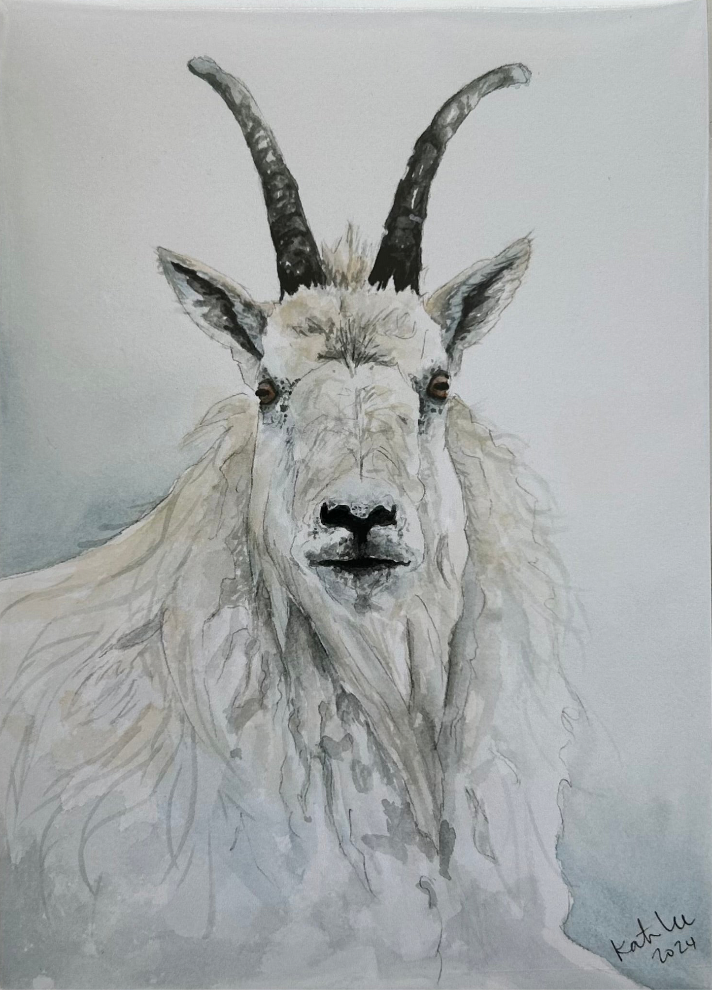 Mountain Goat 5x7