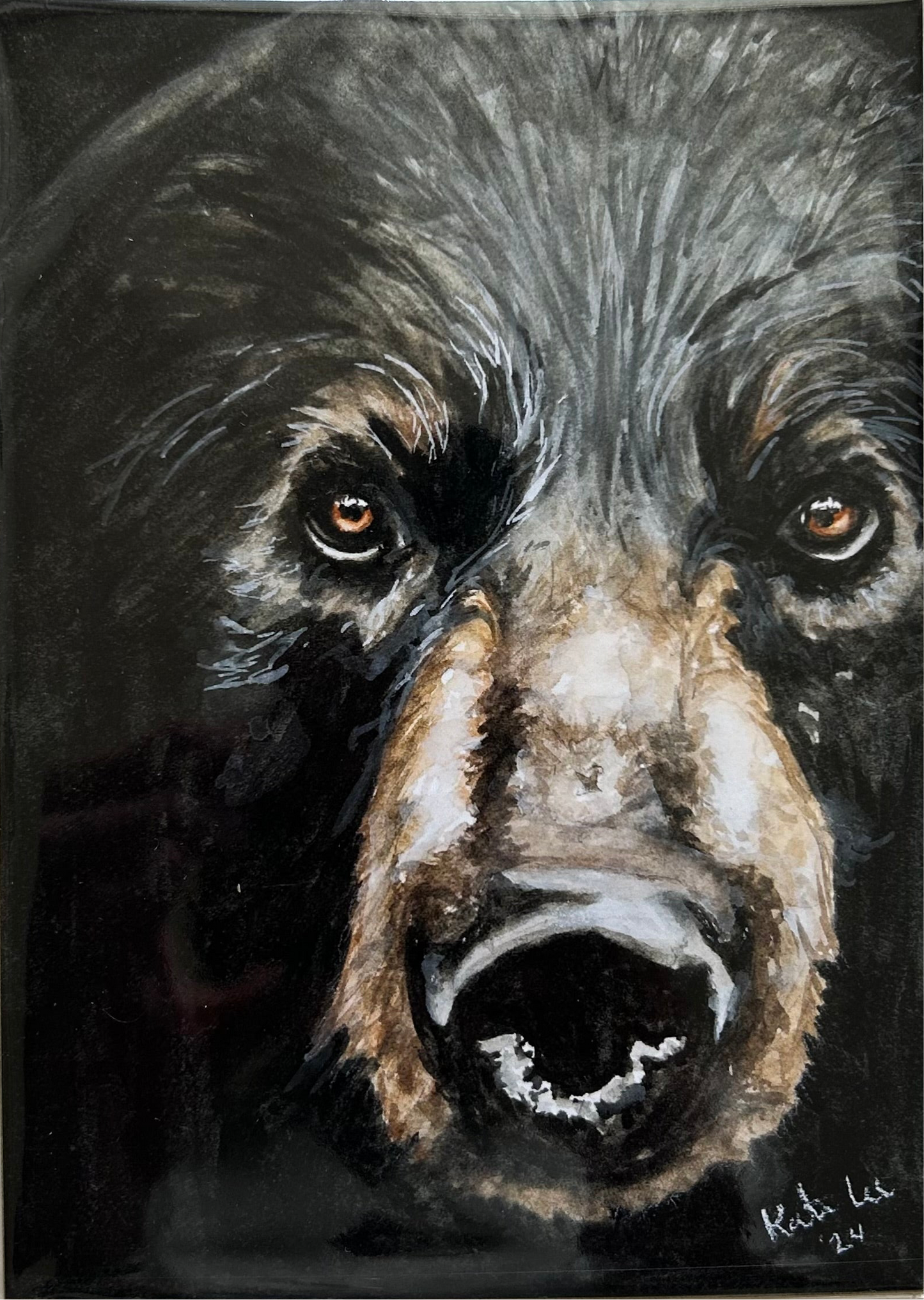 Black Bear 8x10
