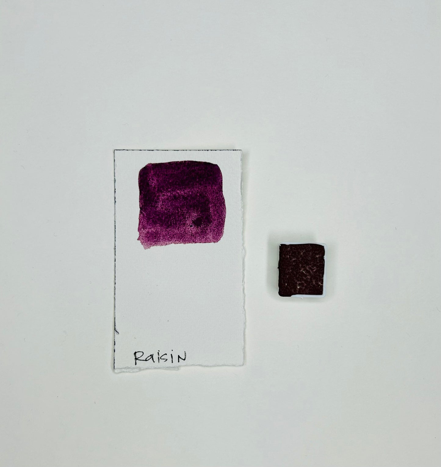 Raisin Handmade Watercolor Half Pan