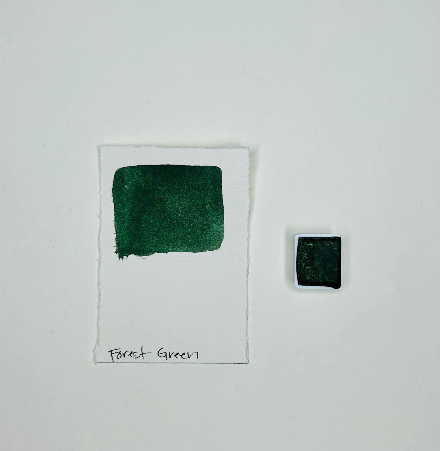Forest Green Handmade Watercolor Half Pan
