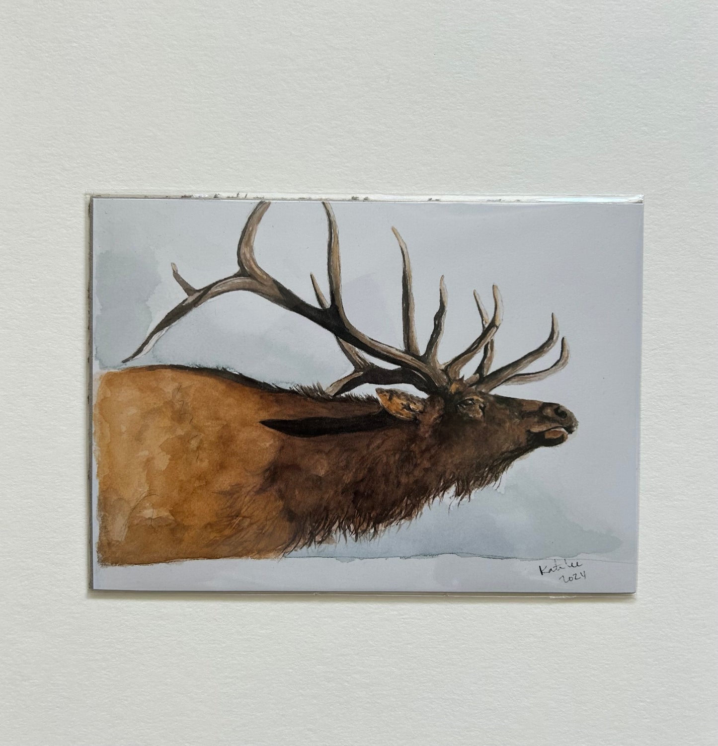 Elk 8x10