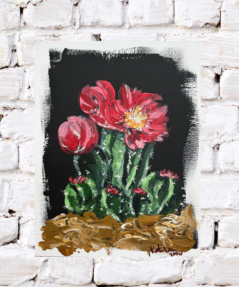 Cactus Flowers