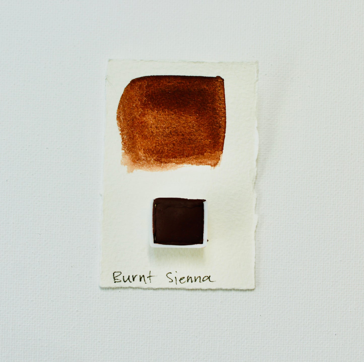 Burnt Sienna