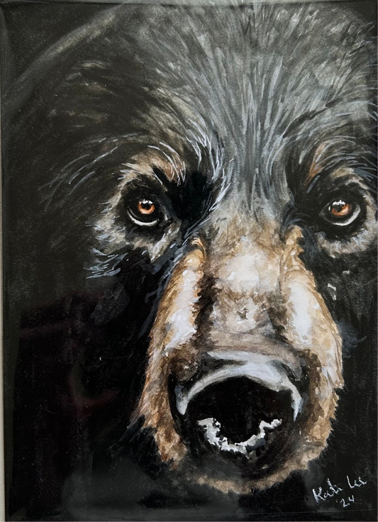 Black Bear 5x7