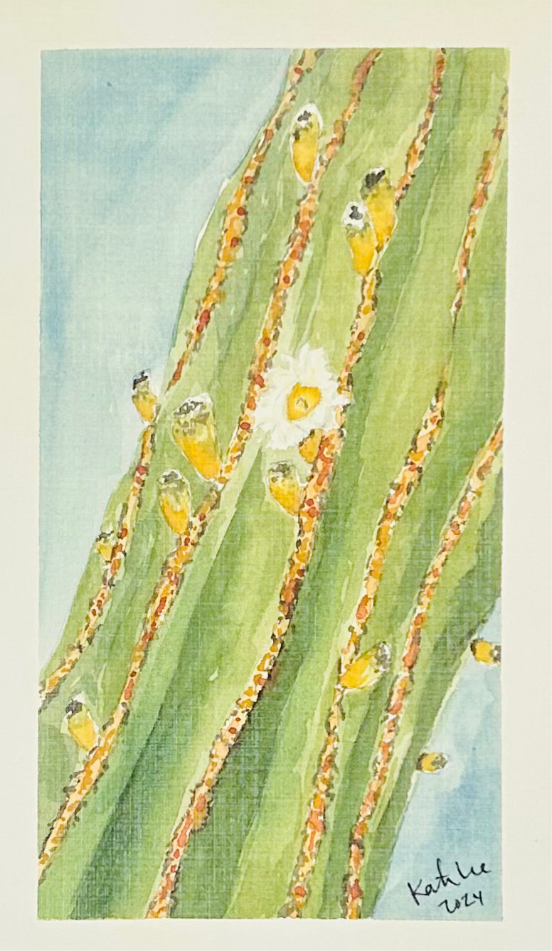 Cactus blossom