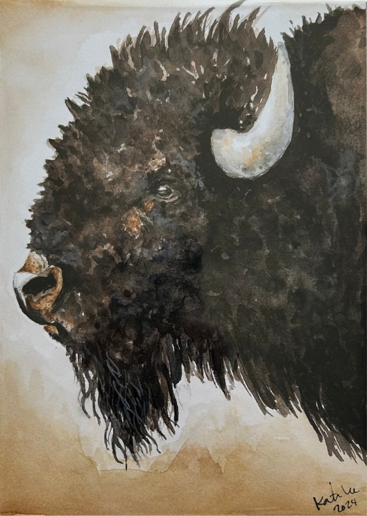 Buffalo 5x7