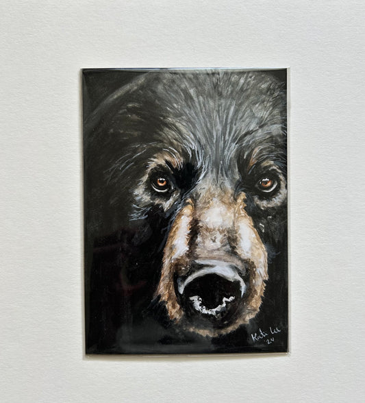 Black Bear 8x10