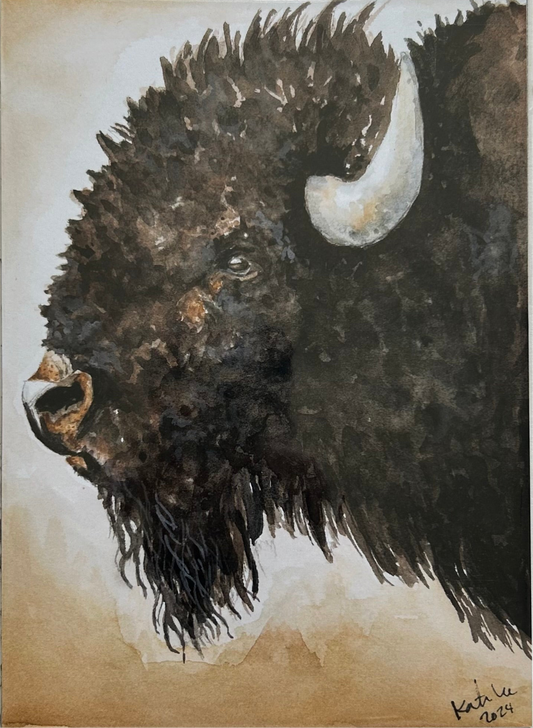 Buffalo 8x10