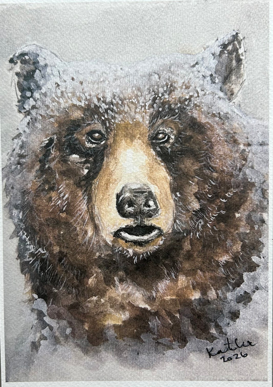 Snowy Bear