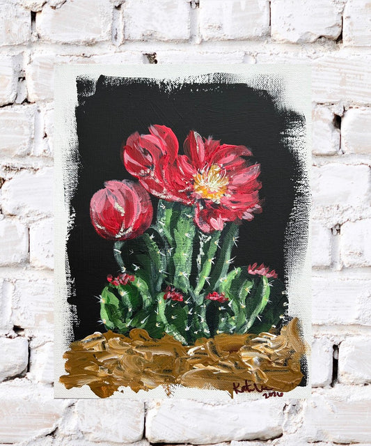Cactus Flowers