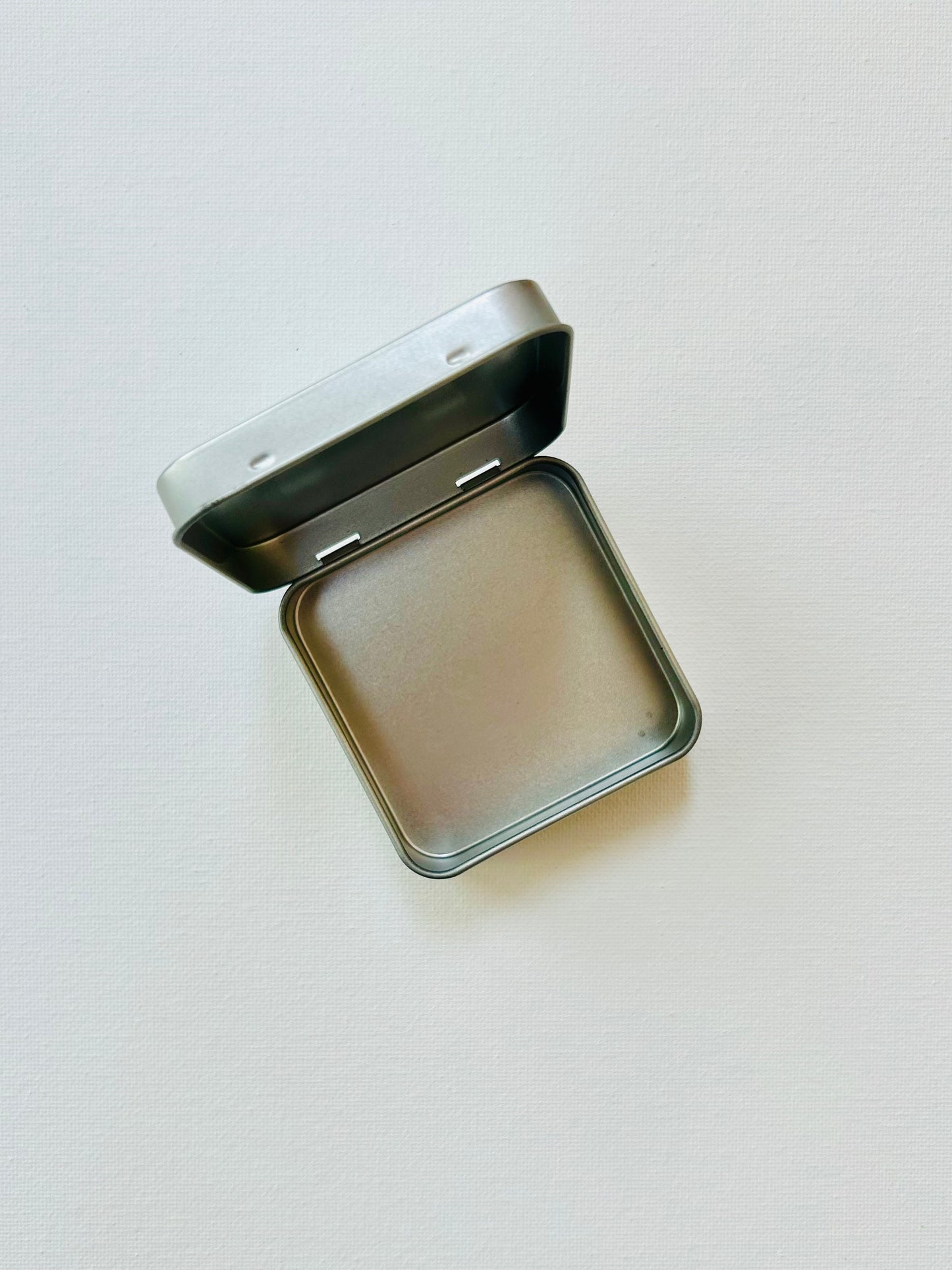 Cactus Watercolor Tin. (Silver)