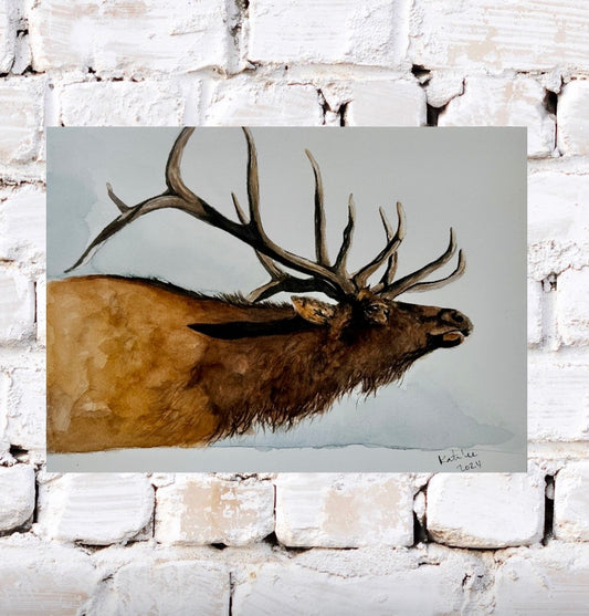 Elk Watercolor Print