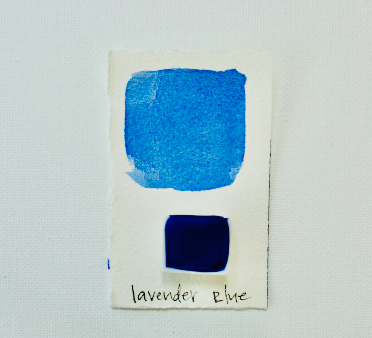 Lavender Blue