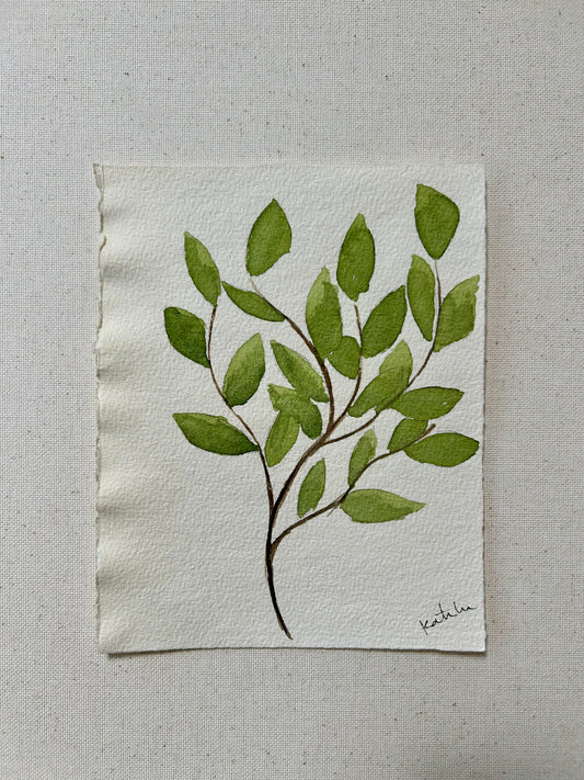 Summer Leaves.