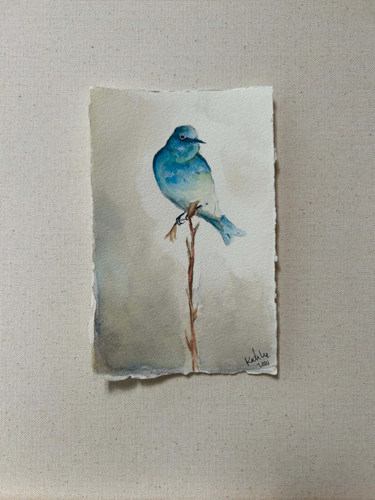 Blue Bird.