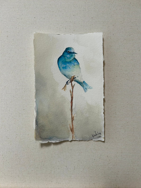 Blue Bird.